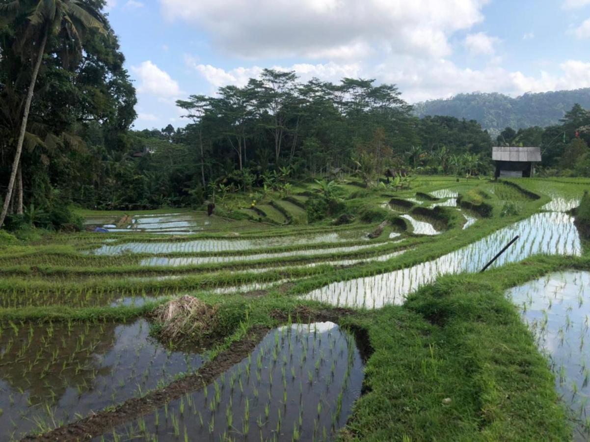 Pondok Masa Depan Sidemen  Exterior foto